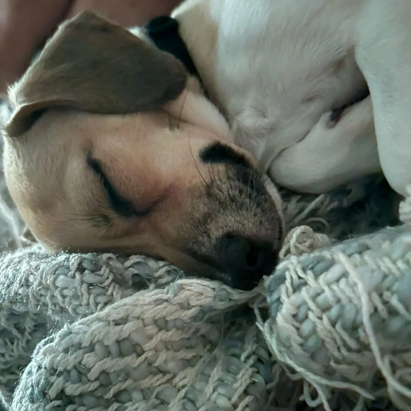 Matilda Jane Beige Cable-Knit Mind's Eye Vest - Picture 6 of 9